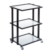 COSMETIC CABINET, 3 SHELVES, BLACK